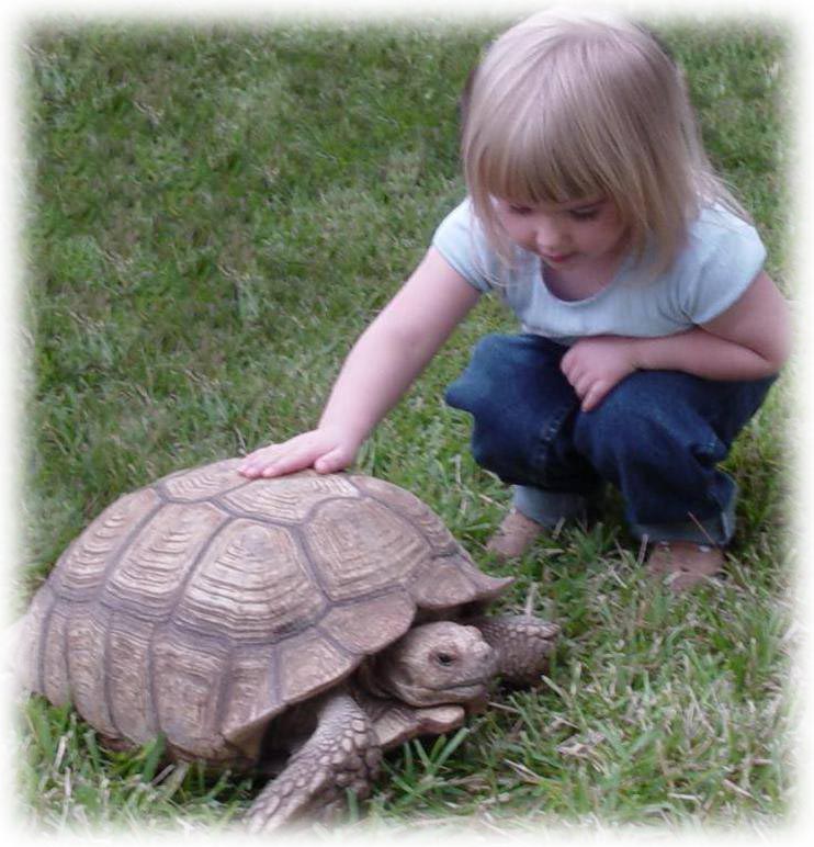 Petting Zoo comes to Caring Corner