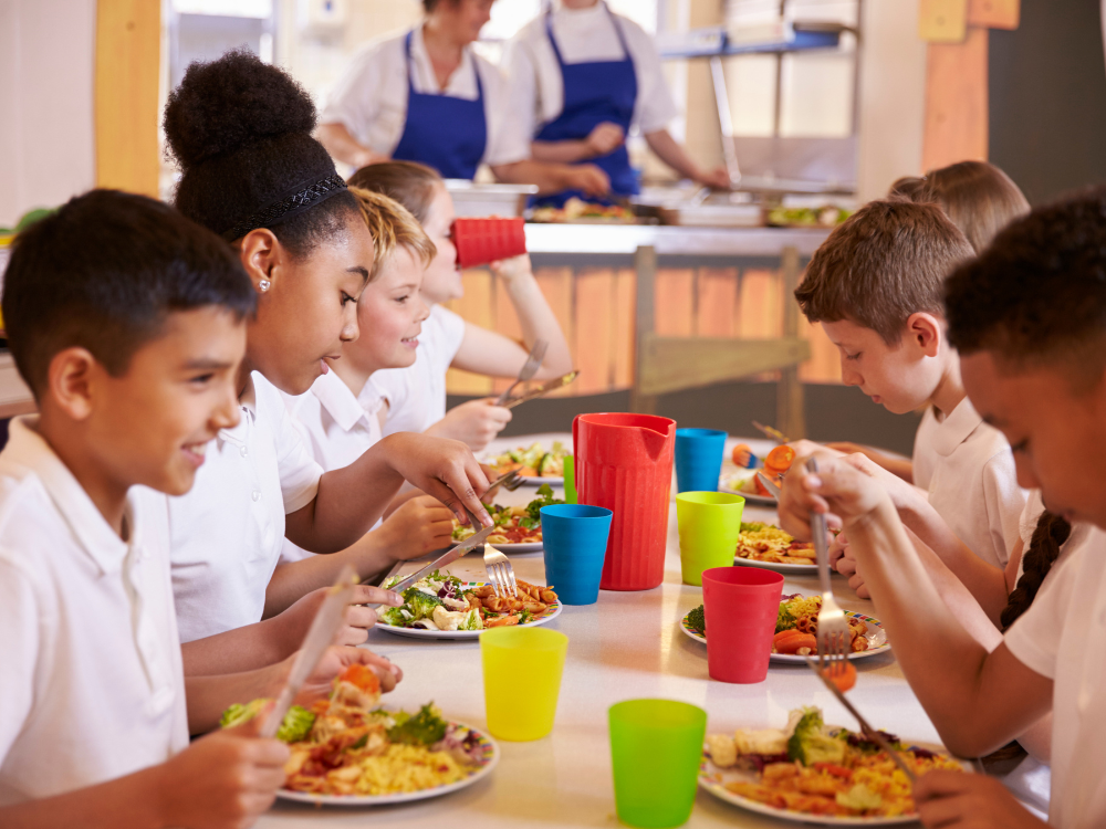 meal for school kids